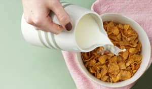 The Different Types of Milk and Their Benefits