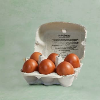 Medium Organic Eggs, 6 Pack