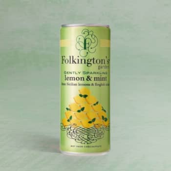 Folkington's Garden Gently Sparkling Lemon & Mint, 250ml